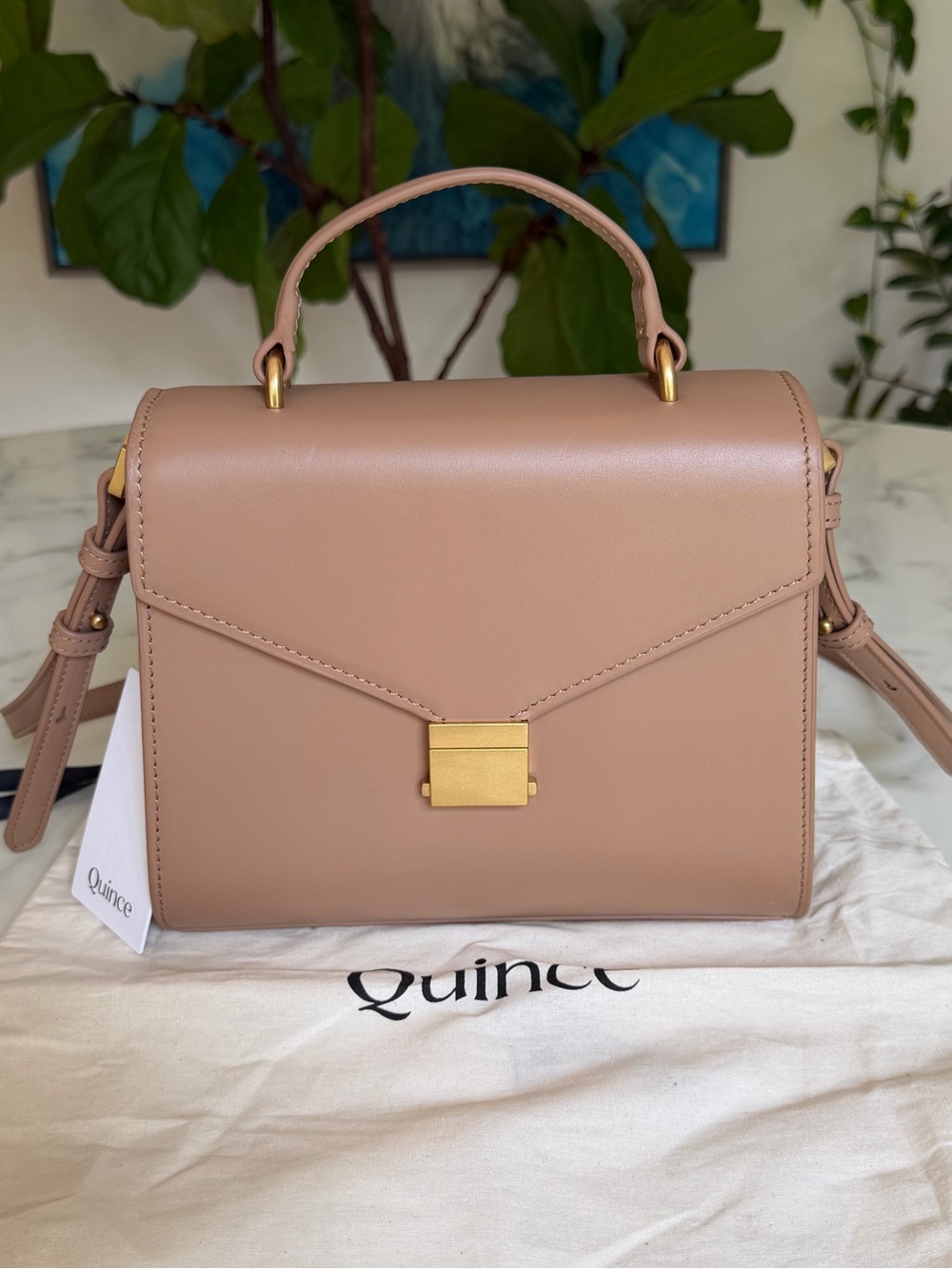 NWT Quince Italian Leather Top Handle Crossbody Satchel Cappuccino Tan Gold